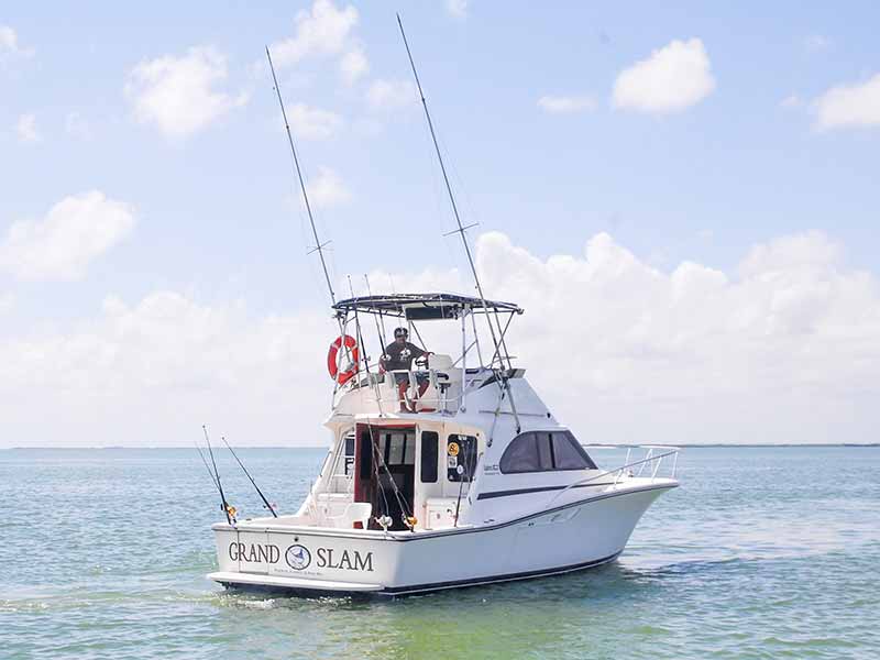 Grand Slam sailfish fishing rates in cancun 
				| fishing price