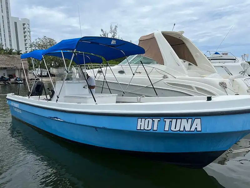 Panga Fishing Cancun | Hot tuna | shark fishing