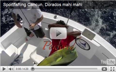 dorado fishing cancun