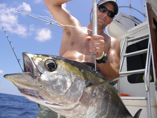 Tuna fishing cancun kianah