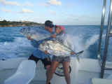 january fishing isla mujeres fishing season cancun