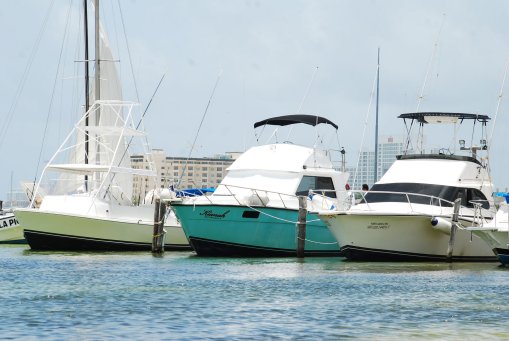 sport fishing in cancun discounts