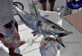 cancun wahoo fish