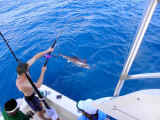 best fishing cancun