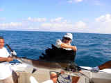 sailfishing cancun