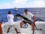 sailfish fishing cancun