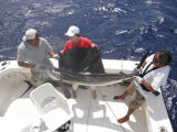 cancun- riveira maya fishing charters