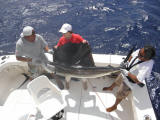 cancun fishing charter