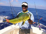 dorado fishing charter