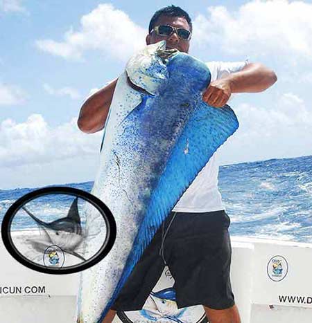 Deep sea FISHING CANCUN  Sport fishing Charters Cancun & Isla Mujeres