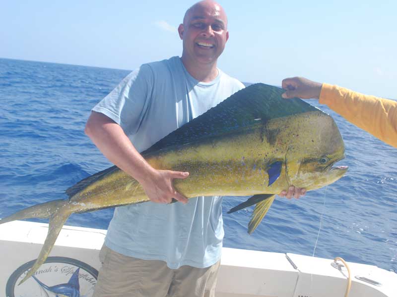 sailfish fishing in cancun