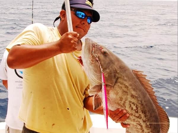 grouper fishing onboard the sailfish run