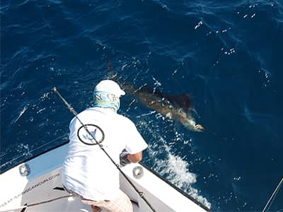 boat | fishing charter cancun