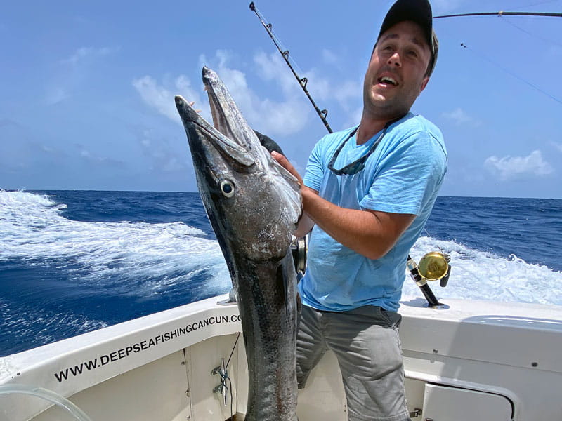 barracuda fishing yacht cancun