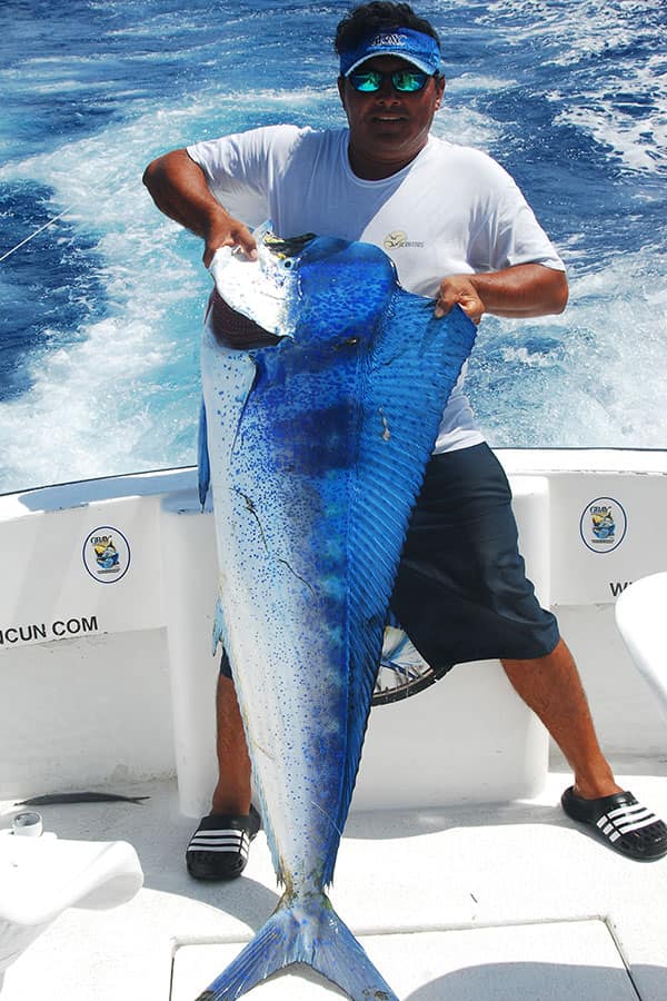 dorado or mahimahi fishing cancun and isla mujeres