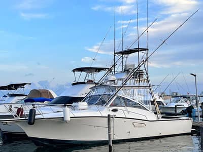 albemarle isla mujeres fishing