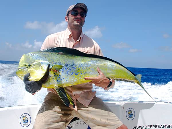 mahimahi | Fishing cancun dorado 