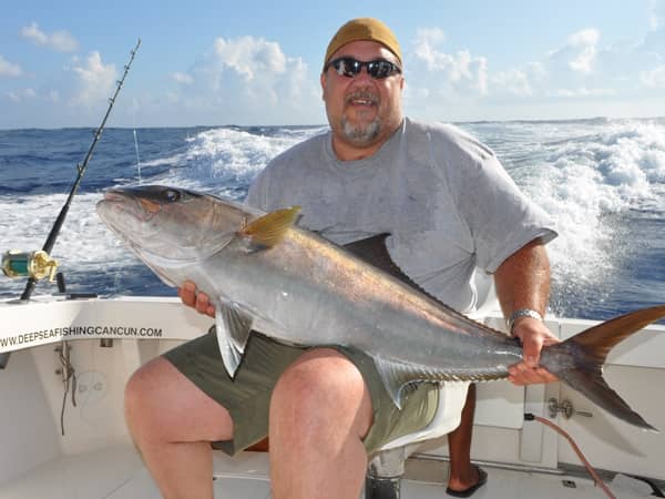 amberjack bottom fishing