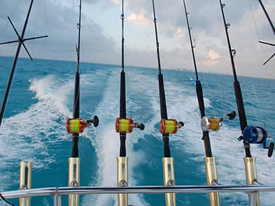 The billfish fishing in cancun