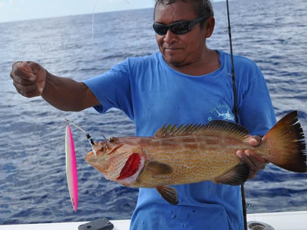 grouper bottom fishing cancun