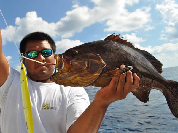 BottomFishing grouper in cancun