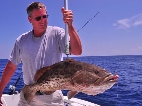 grouper bottom fishing cancun and isla mujeres
