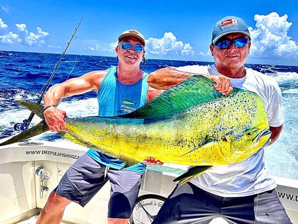 Mahimahi | dorado | Dolphin fish Fishing cancun