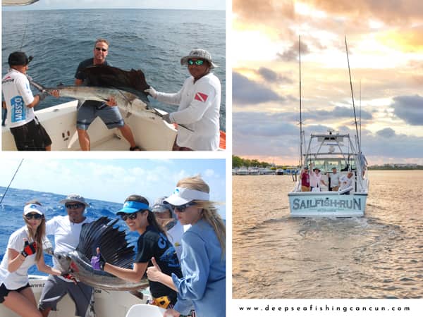 grouper bottom fishing cancun and isla mujeres