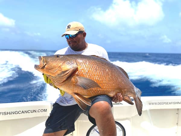 riviera maya sportfishing