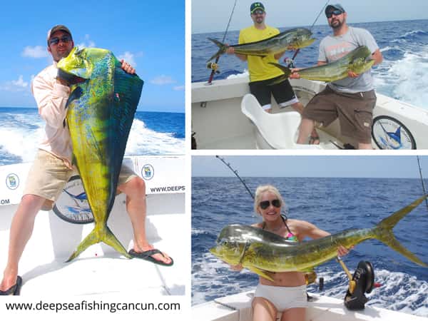 bottom Fishing for grouoer cancun