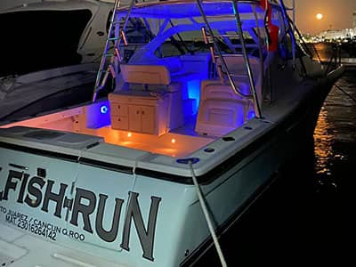 Fishing boat cancun - sailfish run