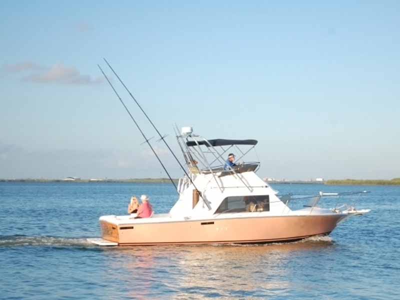 Billfish charters in Cancun | rates