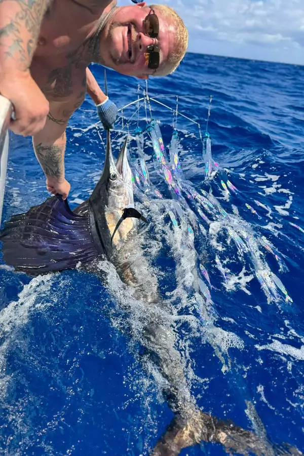 sailfish season cancun