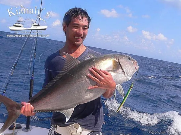 amberjack shared fishing cancun