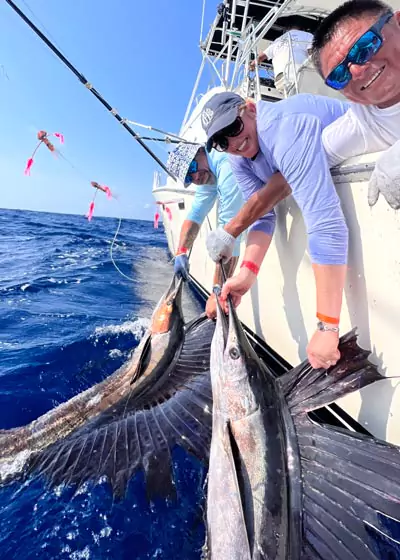 sailfish fishing cancun and isla mujeres