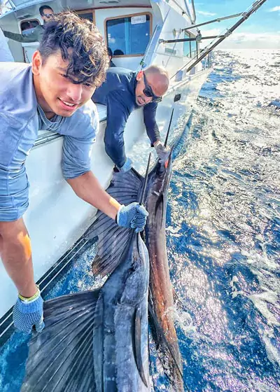 sailfish fishing cancun