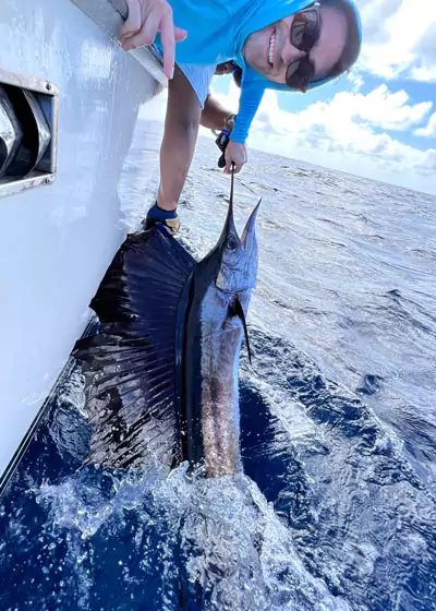 sailfishing season isla mujeres