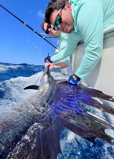 sailfish fishing rates cancun