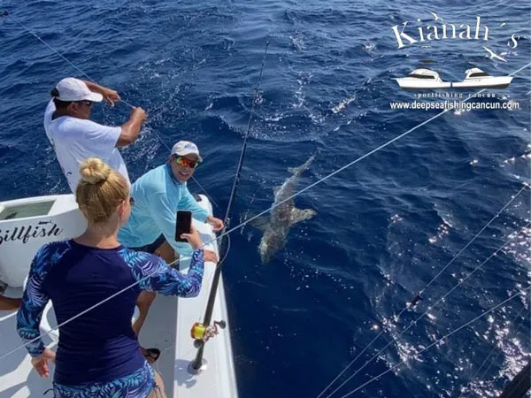 shark fishing isla mujeres charter