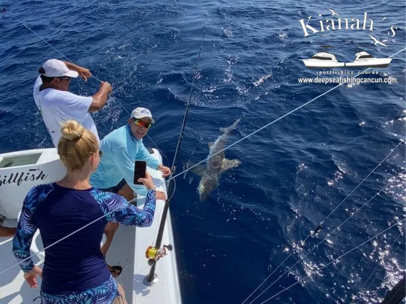 ᐉ Shark fishing cancun and isla Mujeres (2024 charter Season)