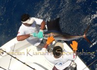 cancun fishing charters