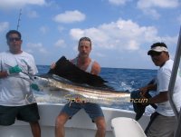 sailfish in cancun
