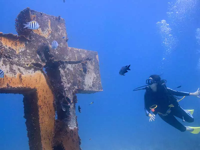 become PADI certified diver in Cancun