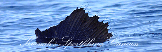 cancun sailfishing season-isla mujeres fishing