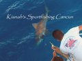 shark fishing cancun
