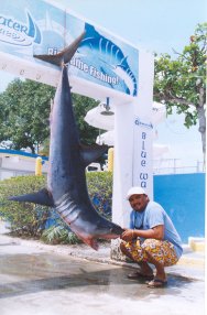 Shark fishing cancun | isla mujeres | riviera maya