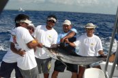 white marlin fishing isla mujeres