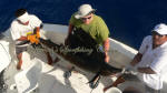 sail fishing cancun