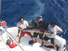 sailfishing cancun reservation