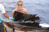 isla mujeres sailfish season- sailfish